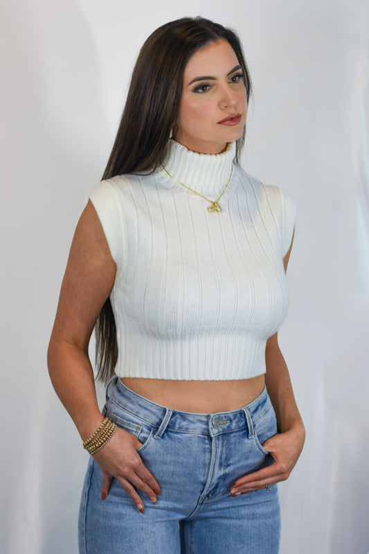 RIBBED HIGH NECK CROP SWEATER TOP